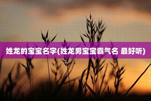 姓龙的宝宝名字(姓龙男宝宝霸气名 最好听)
