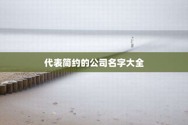 代表简约的公司名字大全