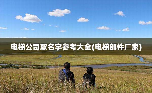 电梯公司取名字参考大全(电梯部件厂家)