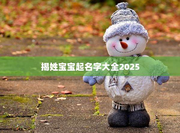 揭姓宝宝起名字大全2025