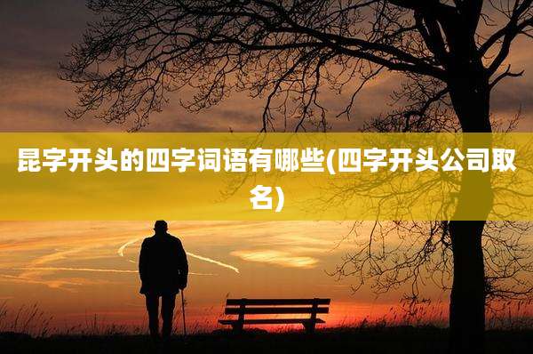 昆字开头的四字词语有哪些(四字开头公司取名)