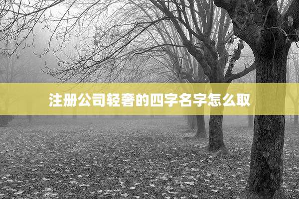 注册公司轻奢的四字名字怎么取