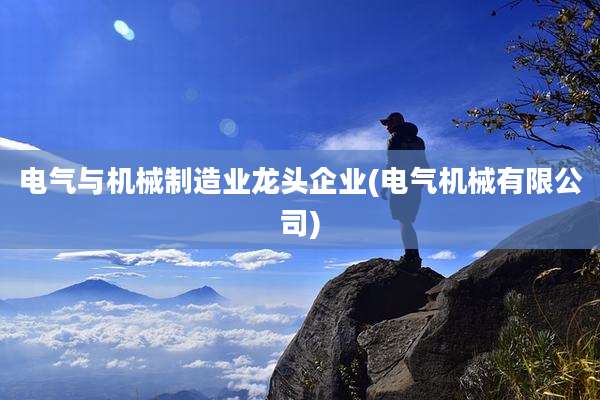 电气与机械制造业龙头企业(电气机械有限公司)