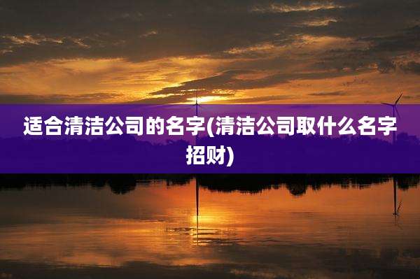 适合清洁公司的名字(清洁公司取什么名字招财)