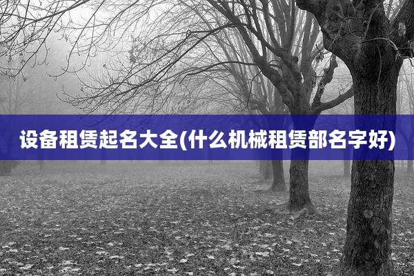 设备租赁起名大全(什么机械租赁部名字好)
