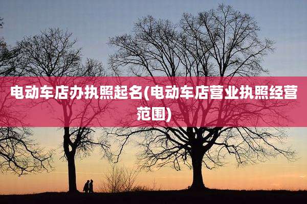 电动车店办执照起名(电动车店营业执照经营范围)