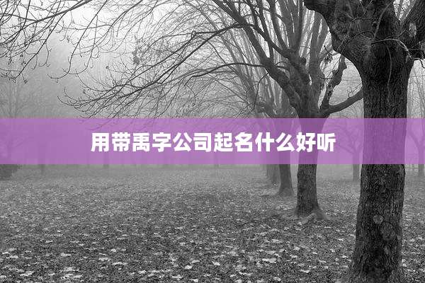 用带禹字公司起名什么好听