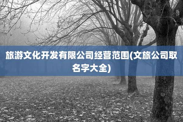 旅游文化开发有限公司经营范围(文旅公司取名字大全)