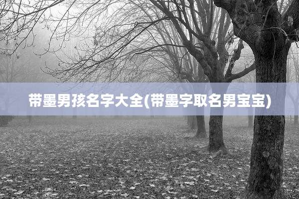 带墨男孩名字大全(带墨字取名男宝宝)