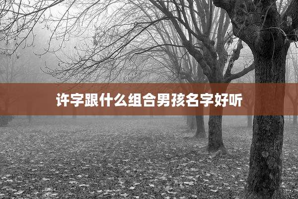 许字跟什么组合男孩名字好听