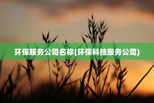 环保服务公司名称(环保科技服务公司)