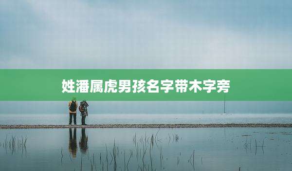 姓潘属虎男孩名字带木字旁