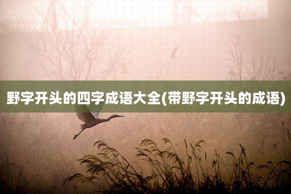 野字开头的四字成语大全(带野字开头的成语)