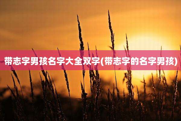 带志字男孩名字大全双字(带志字的名字男孩)