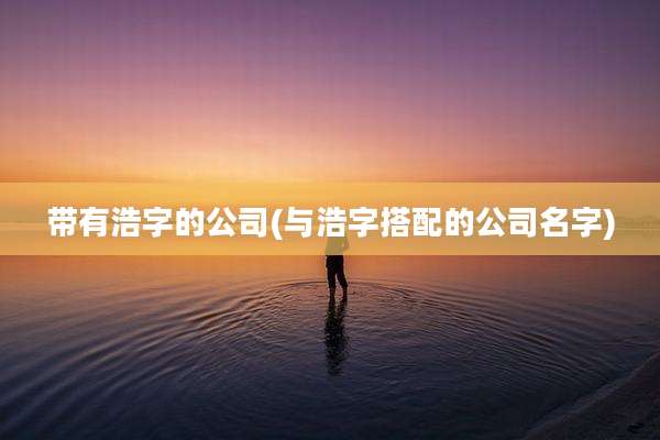带有浩字的公司(与浩字搭配的公司名字)