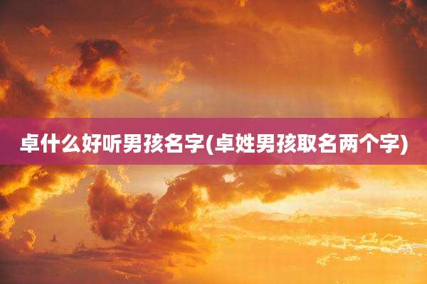 卓什么好听男孩名字(卓姓男孩取名两个字)
