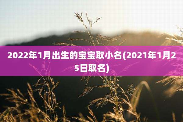 2022年1月出生的宝宝取小名(2021年1月25日取名)