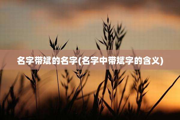 名字带斌的名字(名字中带斌字的含义)