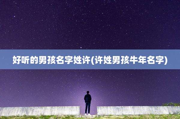好听的男孩名字姓许(许姓男孩牛年名字)
