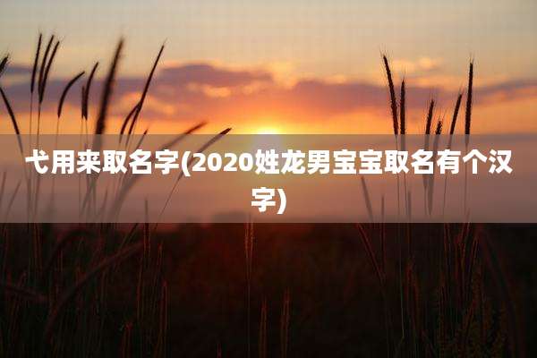 弋用来取名字(2020姓龙男宝宝取名有个汉字)