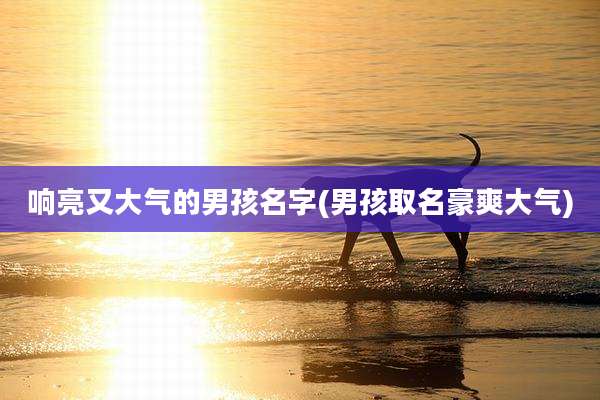 响亮又大气的男孩名字(男孩取名豪爽大气)