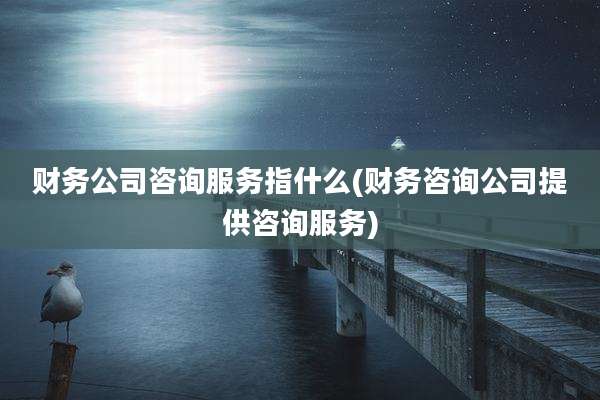 财务公司咨询服务指什么(财务咨询公司提供咨询服务)