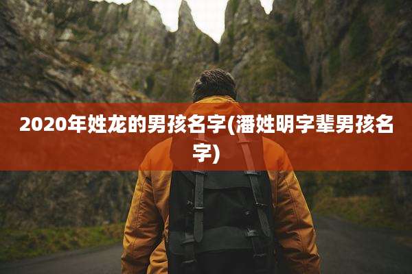 2020年姓龙的男孩名字(潘姓明字辈男孩名字)