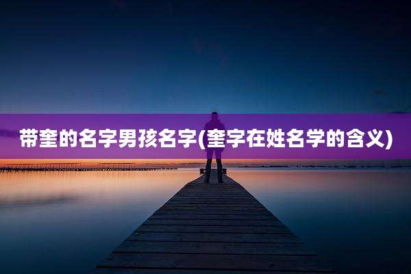 带奎的名字男孩名字(奎字在姓名学的含义)