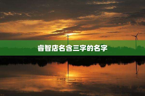 睿智店名含三字的名字