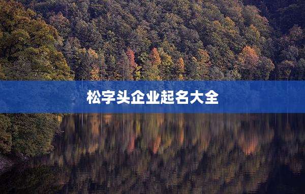 松字头企业起名大全