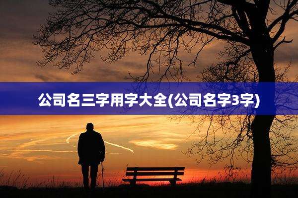 公司名三字用字大全(公司名字3字)