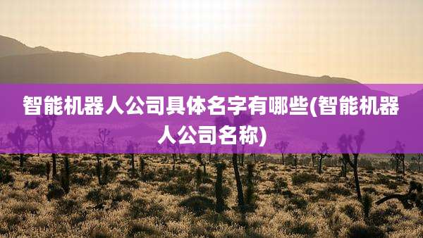 智能机器人公司具体名字有哪些(智能机器人公司名称)