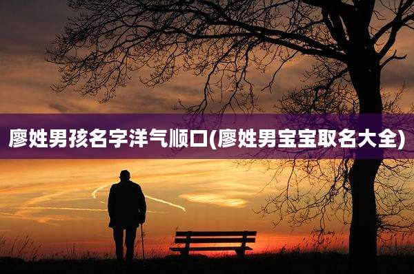 廖姓男孩名字洋气顺口(廖姓男宝宝取名大全)