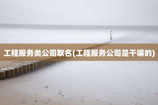 工程服务类公司取名(工程服务公司是干嘛的)