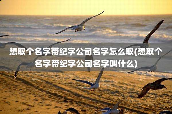 想取个名字带纪字公司名字怎么取(想取个名字带纪字公司名字叫什么)