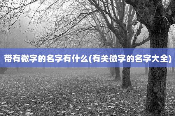 带有微字的名字有什么(有关微字的名字大全)