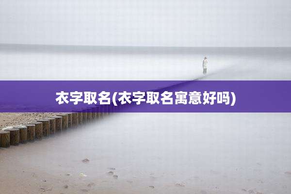 衣字取名(衣字取名寓意好吗)