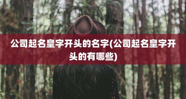 公司起名皇字开头的名字(公司起名皇字开头的有哪些)