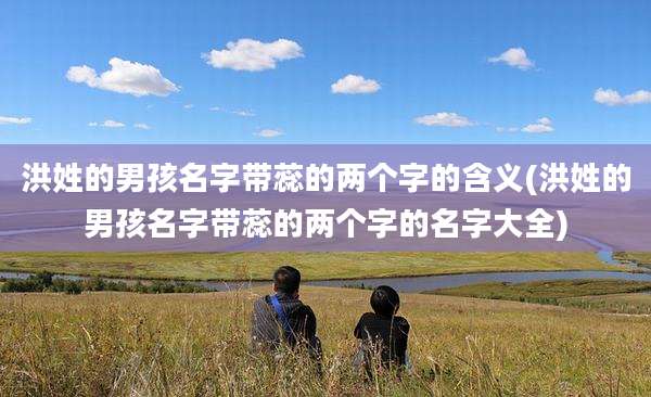 洪姓的男孩名字带蕊的两个字的含义(洪姓的男孩名字带蕊的两个字的名字大全)