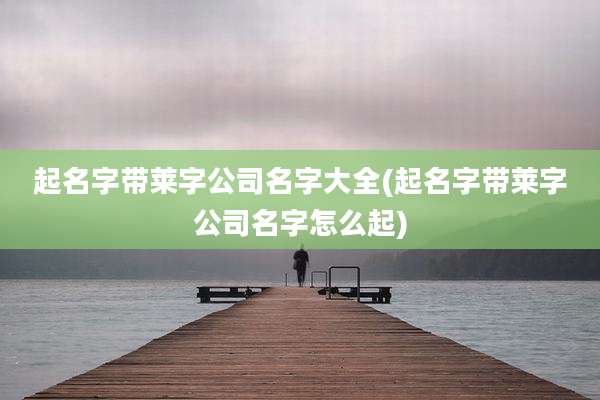 起名字带莱字公司名字大全(起名字带莱字公司名字怎么起)