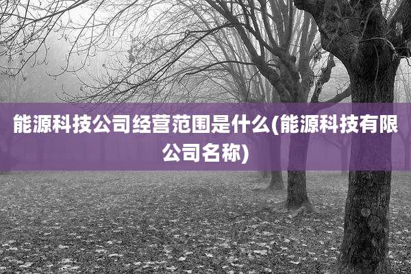 能源科技公司经营范围是什么(能源科技有限公司名称)