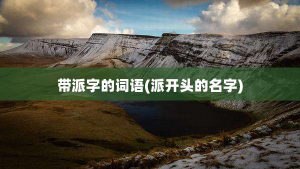 带派字的词语(派开头的名字)