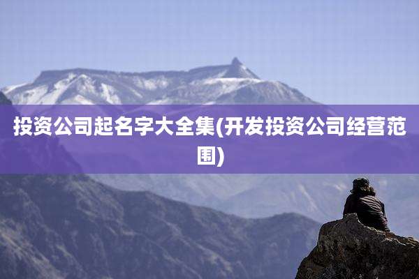 投资公司起名字大全集(开发投资公司经营范围)