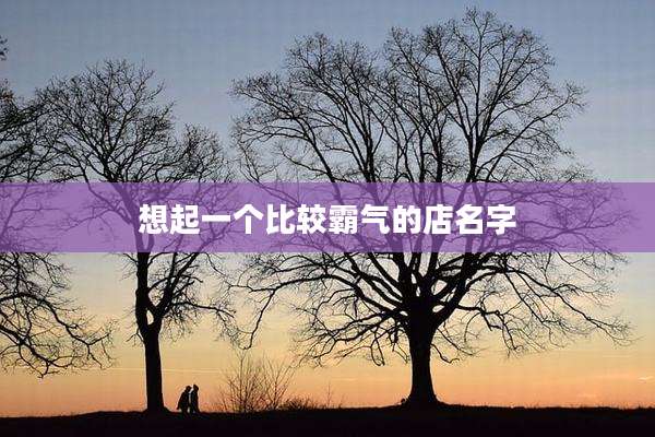 想起一个比较霸气的店名字