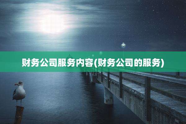 财务公司服务内容(财务公司的服务)