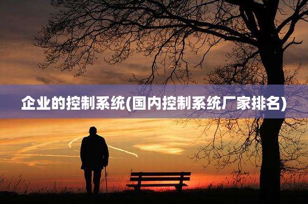 企业的控制系统(国内控制系统厂家排名)