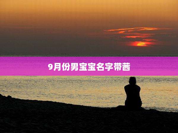 9月份男宝宝名字带茜
