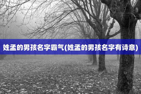 姓孟的男孩名字霸气(姓孟的男孩名字有诗意)
