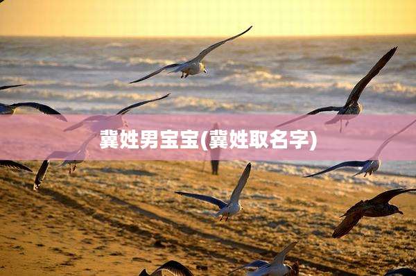 冀姓男宝宝(冀姓取名字)