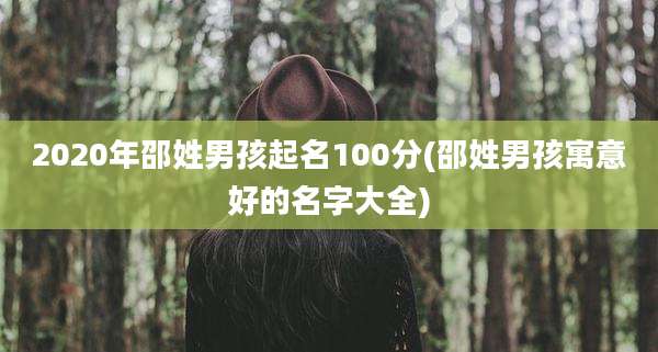 2020年邵姓男孩起名100分(邵姓男孩寓意好的名字大全)